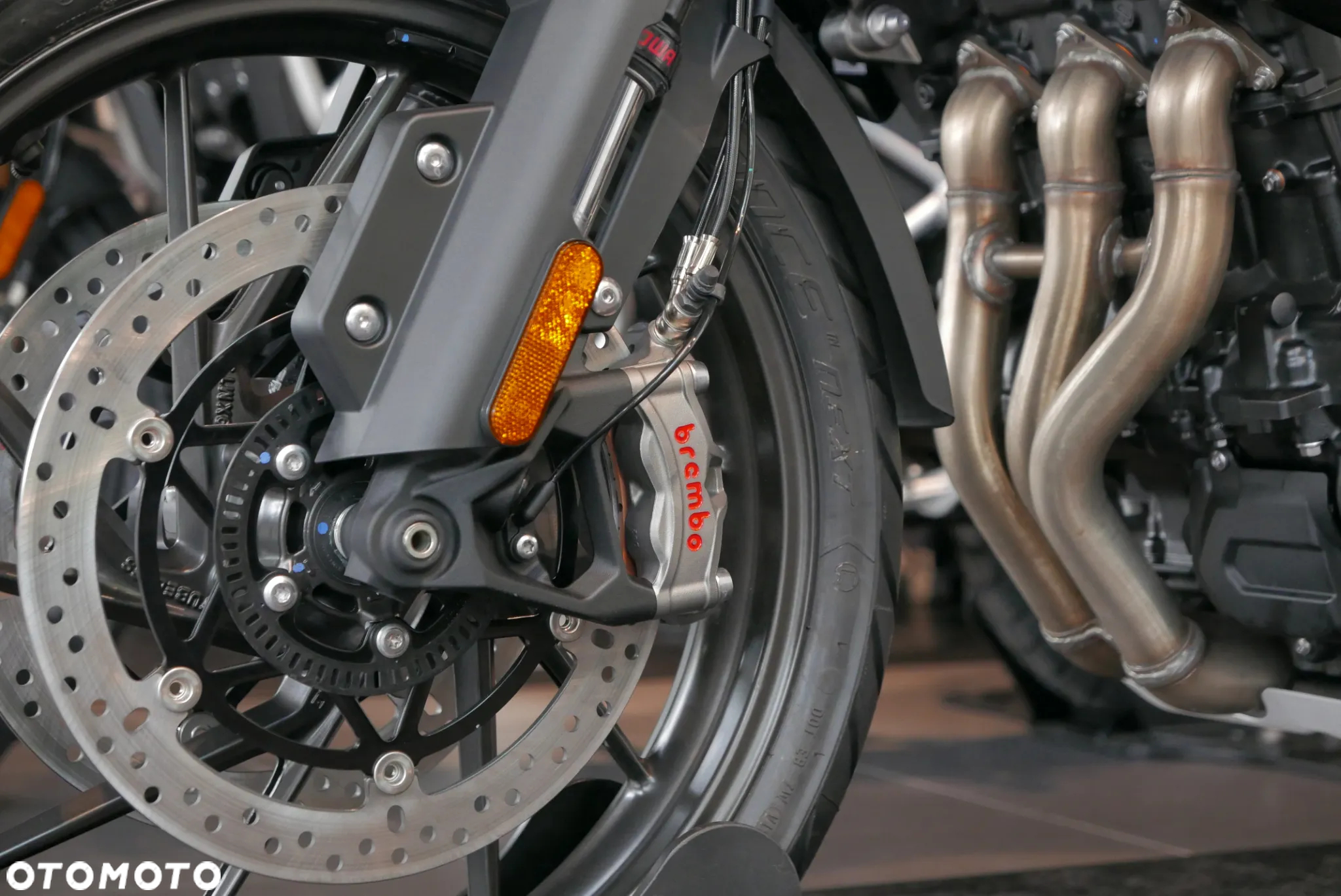 Triumph Tiger - 7