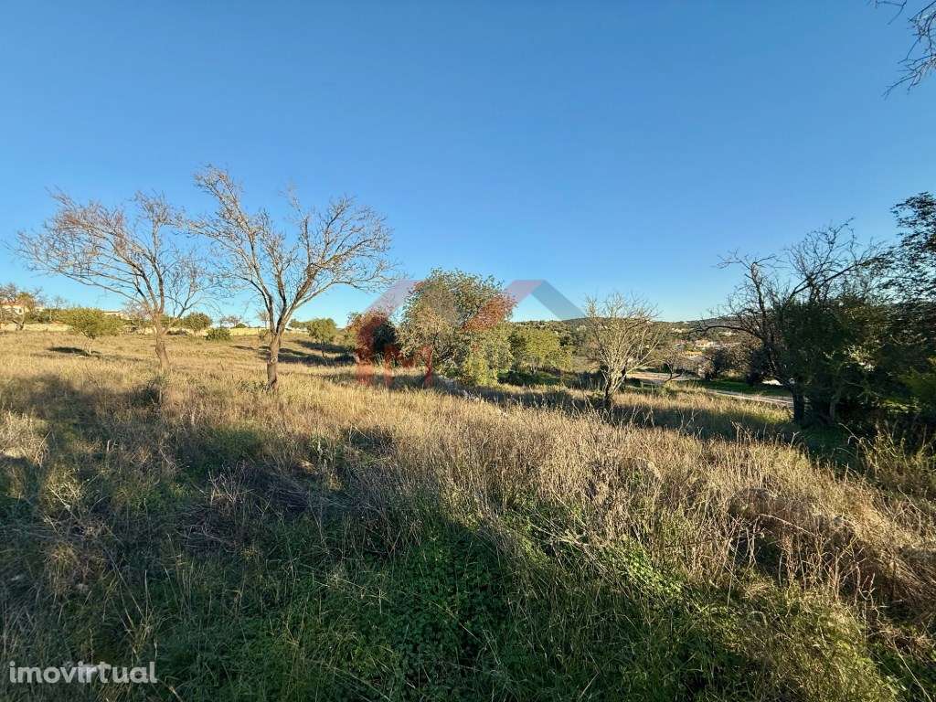 Terreno urbano para construção de 15 moradias - Boliqueime - Grande imagem: 3/6
