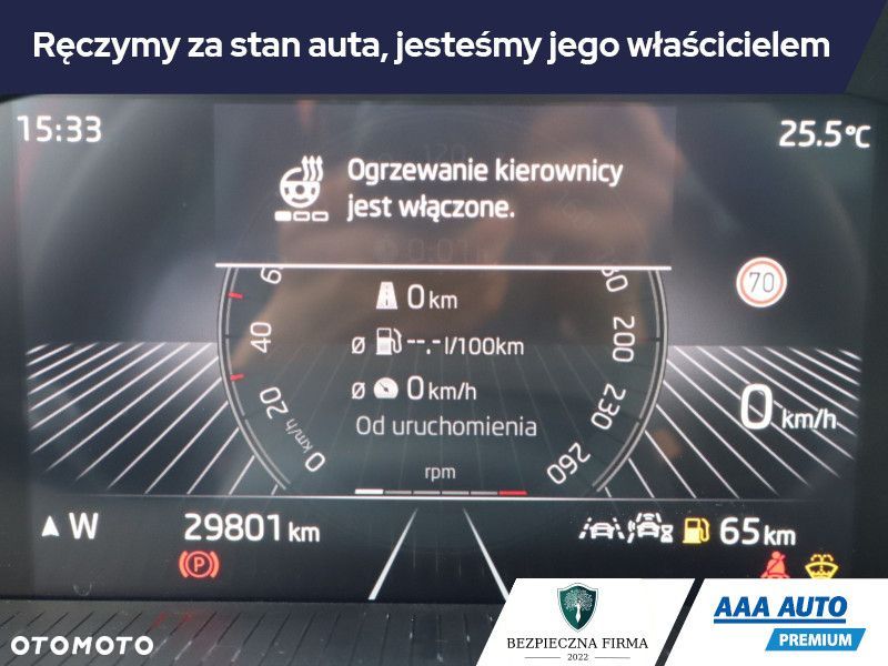 Skoda Fabia - 18