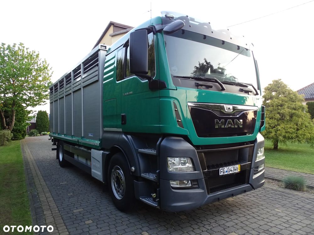 MAN TGX 18.400 DO ŻYWCA / ZWIERZĄT / BYDŁA / Z NIEMIEC / - 3
