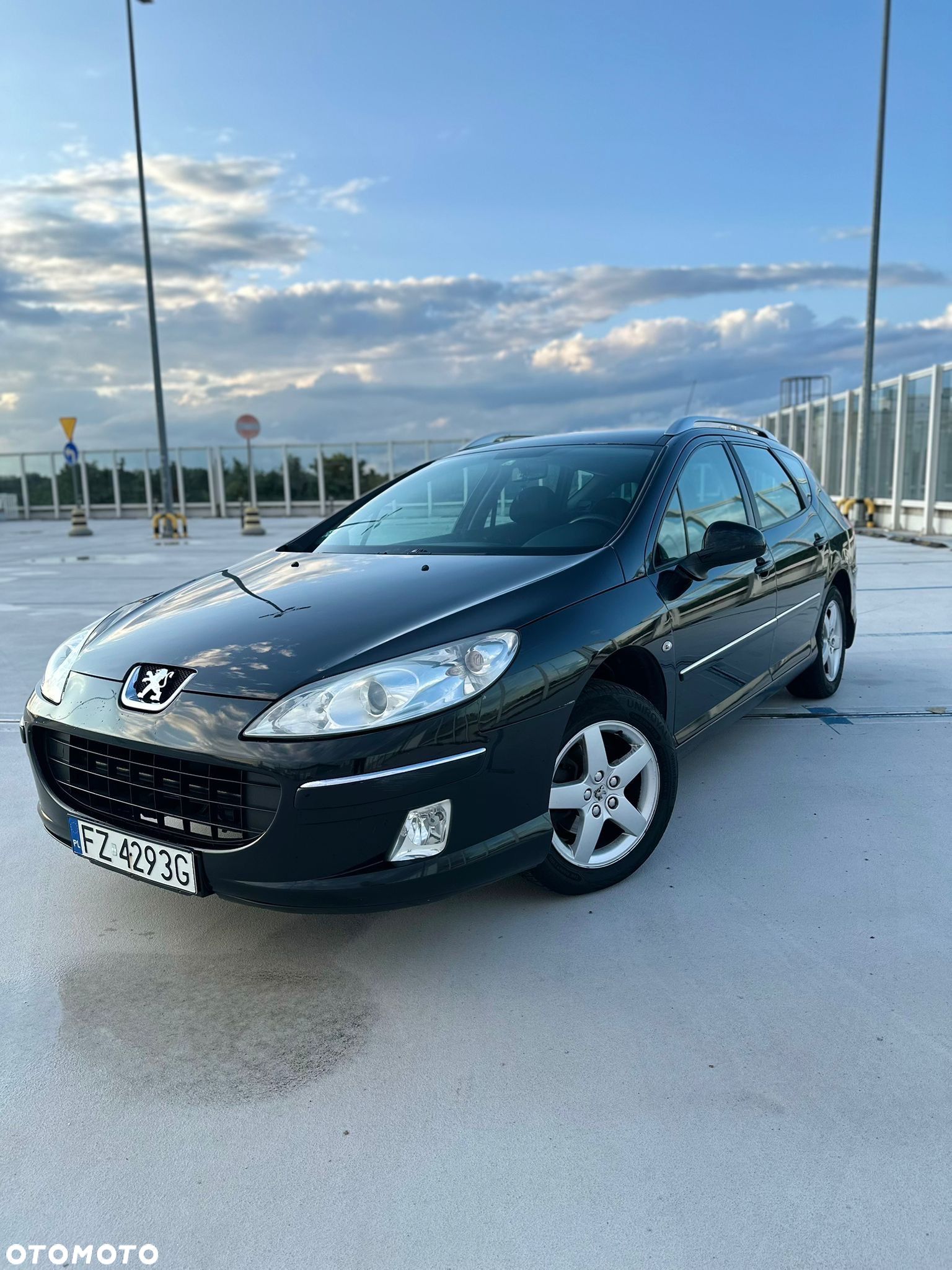 Peugeot 407 - 1