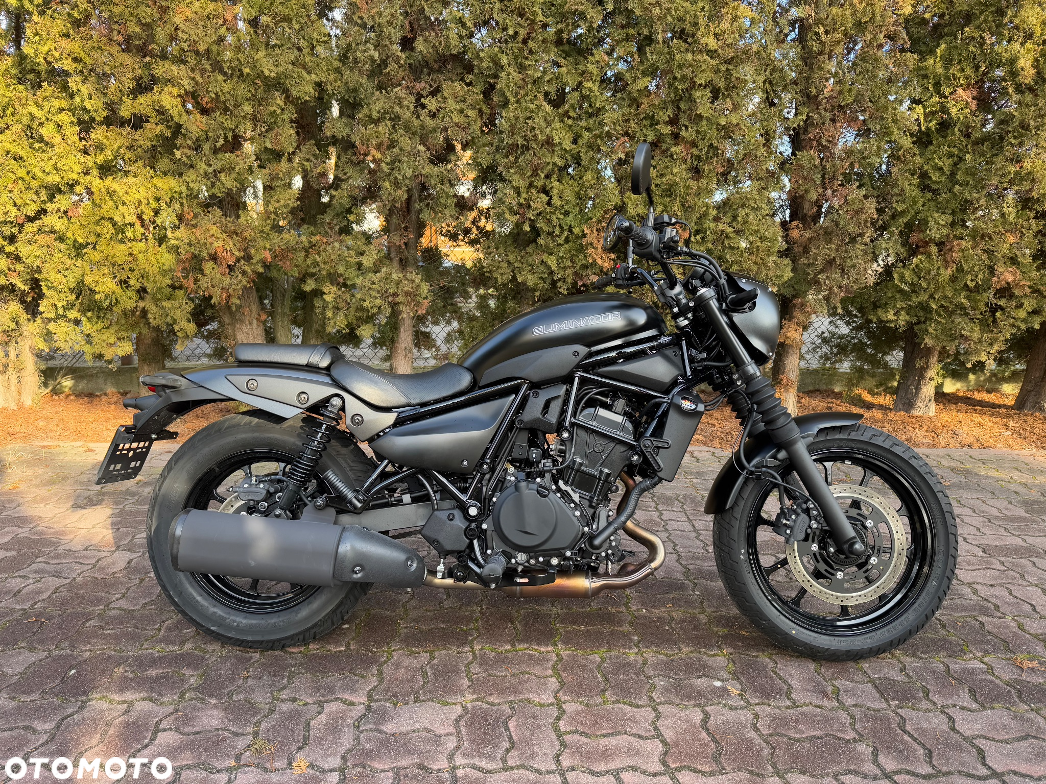 Kawasaki Eliminator 500 - 2