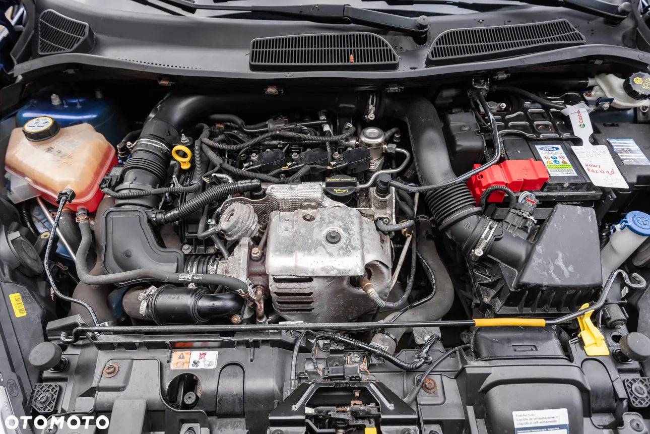 Ford Fiesta 1.0 EcoBoost Start-Stop Champions Edition - 30