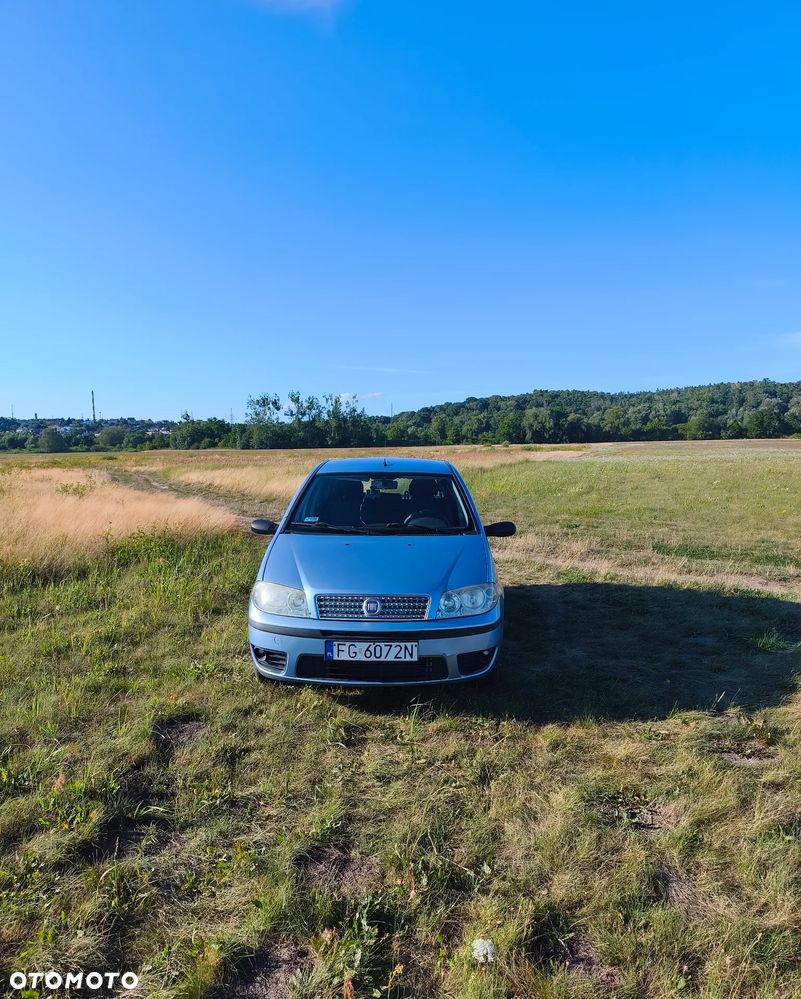 Fiat Punto 1.2 8V Classic - 3