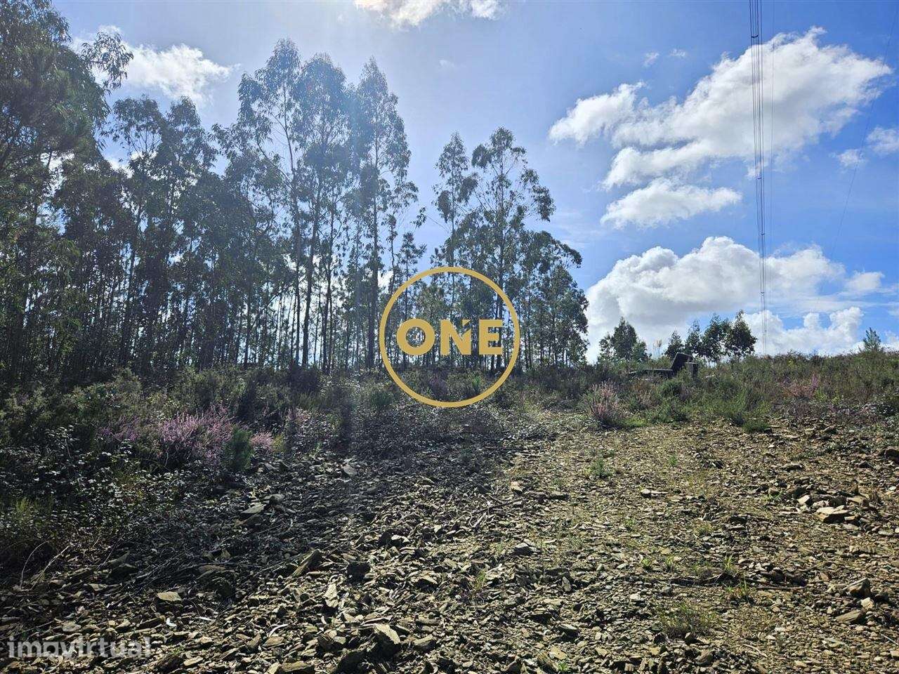 Terreno Florestal em Balazar - Grande imagem: 4/17