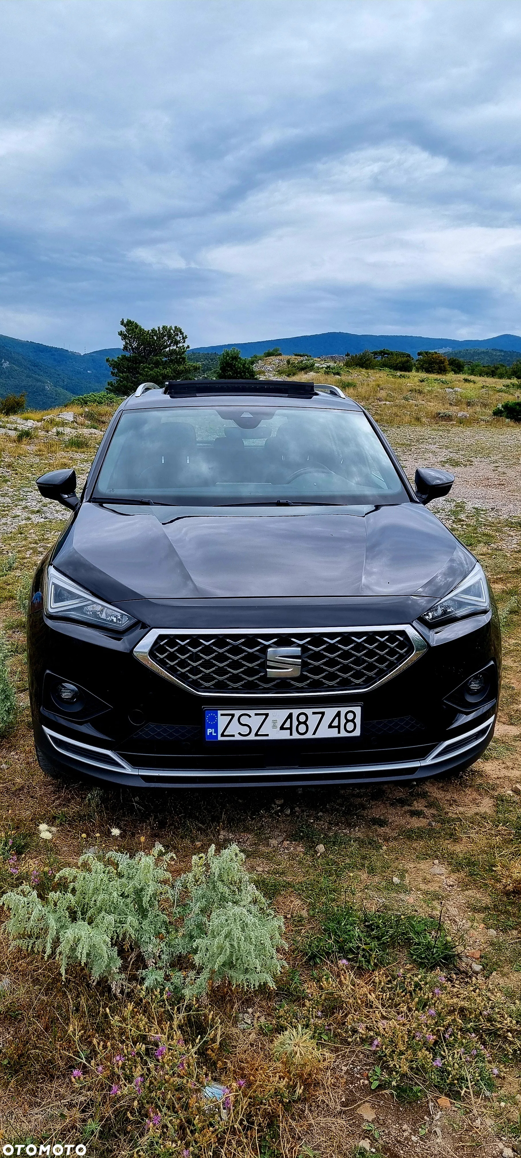 Seat Tarraco 2.0 TDI Xcellence S&S - 2