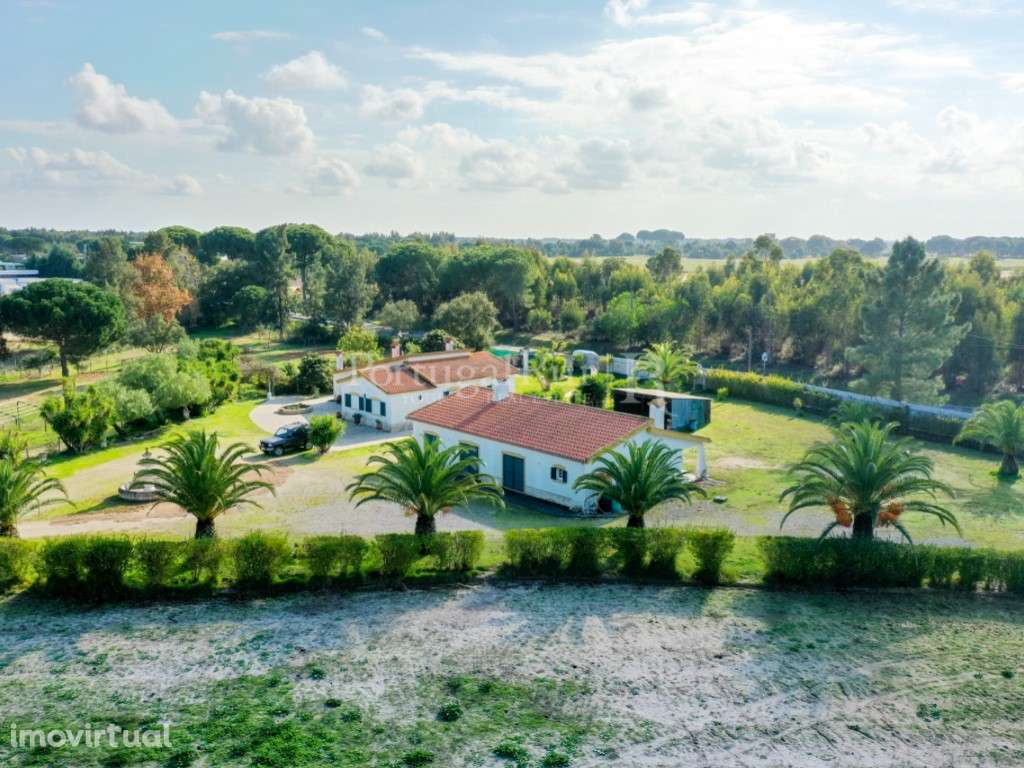 Quinta com 2 moradias, espaço comercial e loteamento a 30 minutos d... - Grande imagem: 3/39