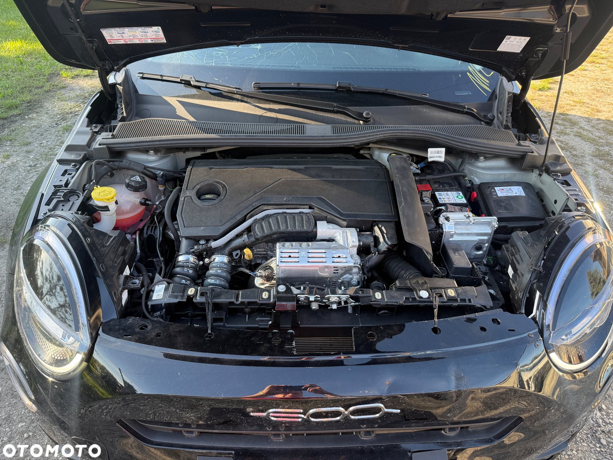Fiat 600 1.2 Turbo Hybrid eDCT - 23
