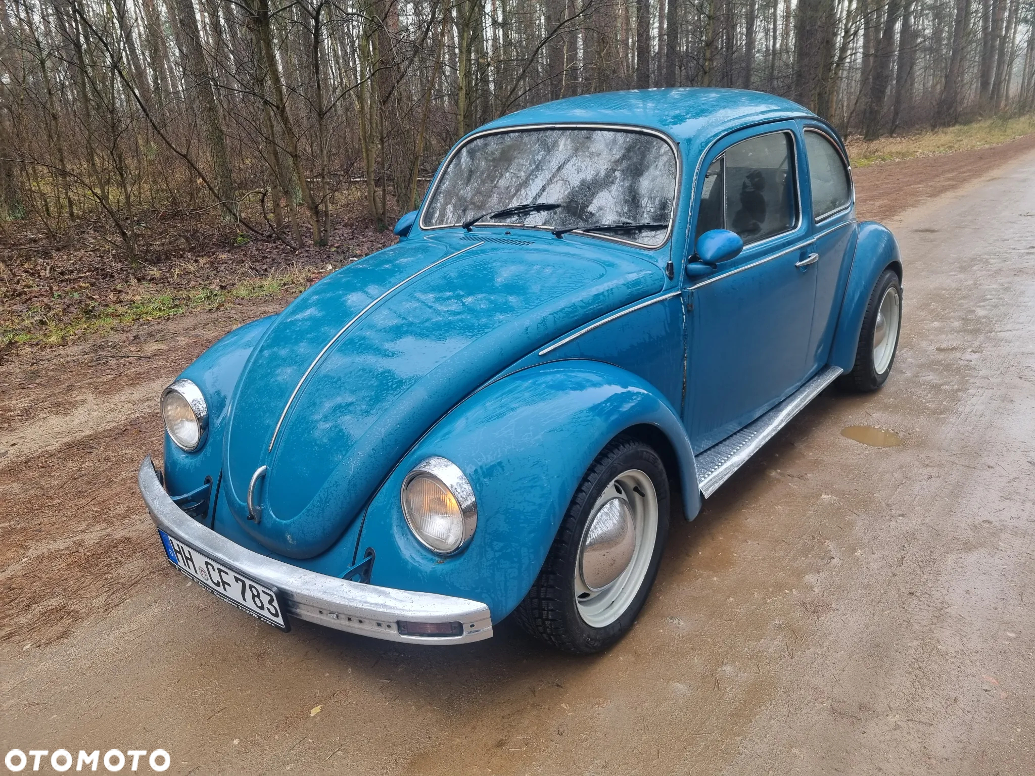 Volkswagen Garbus - 2