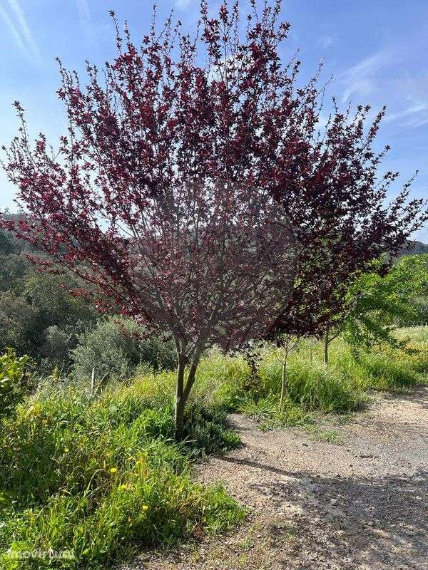 Terreno  para venda - Grande imagem: 2/24