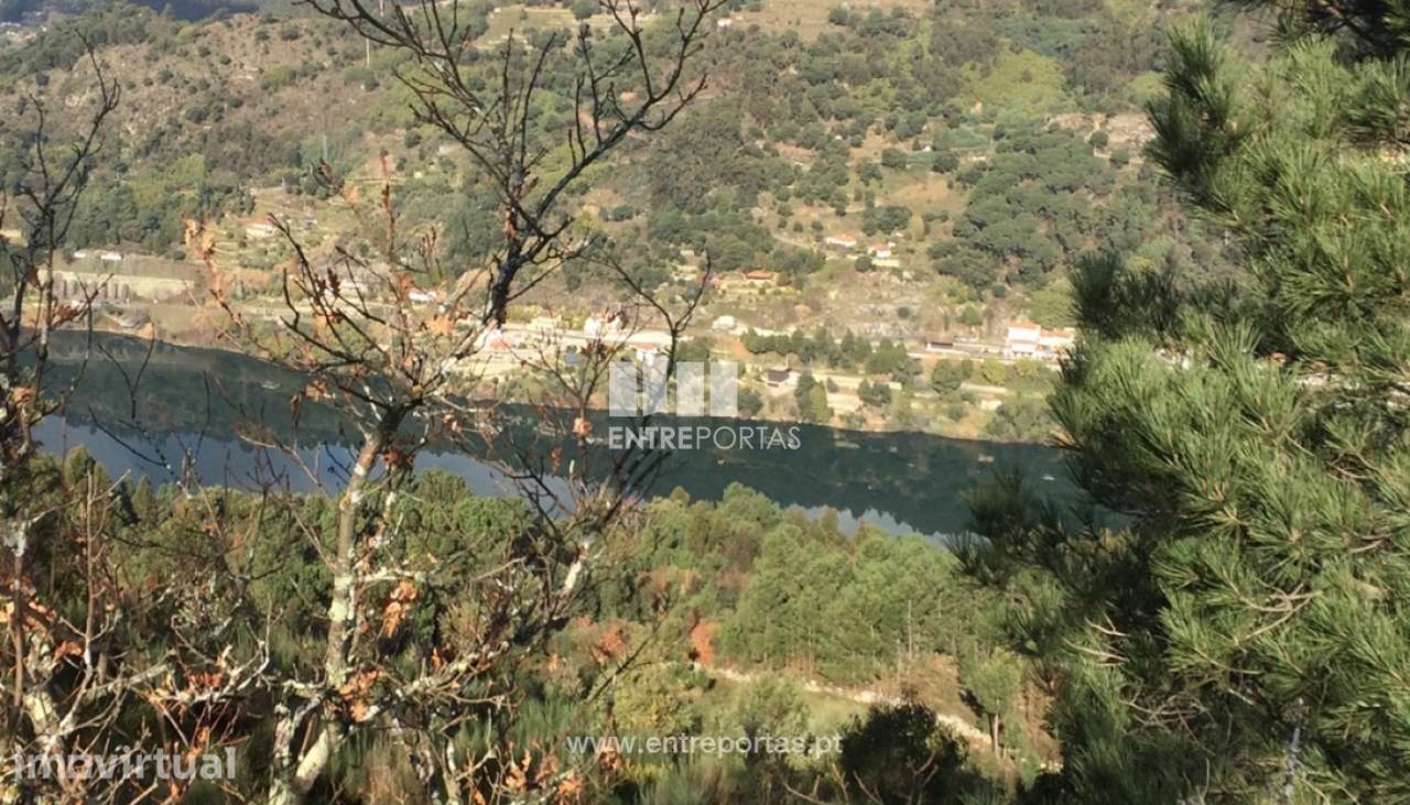 Venda Terreno, Oliveira do Douro, Cinfães - Grande imagem: 3/26