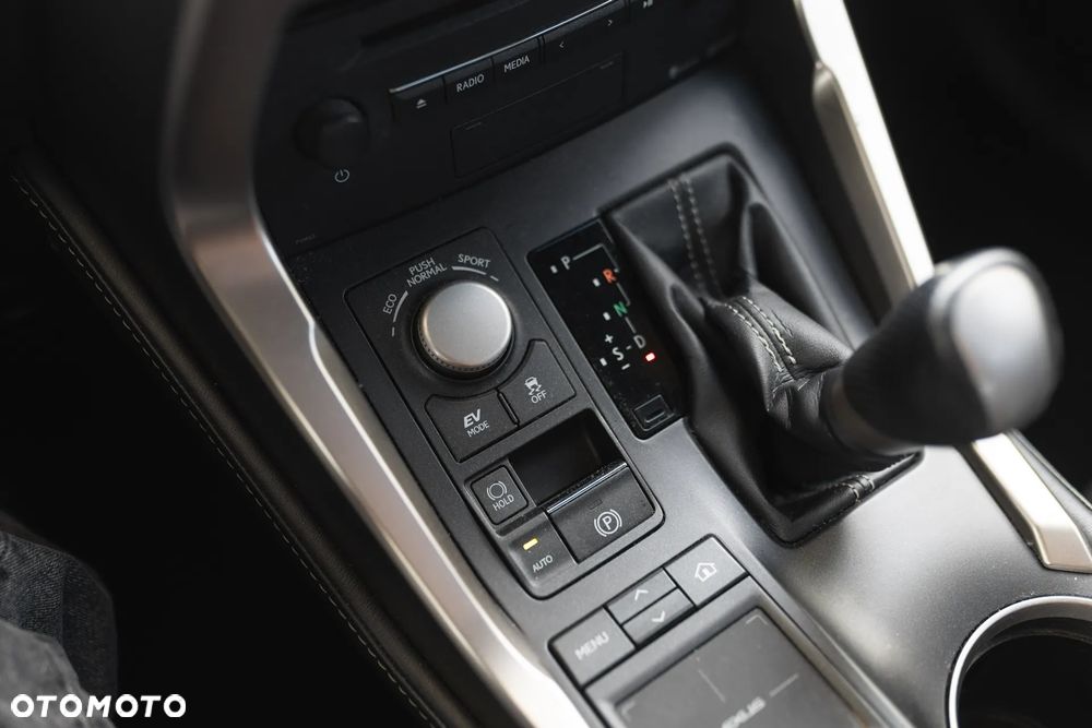 Lexus NX 300h F Sport AWD - 24