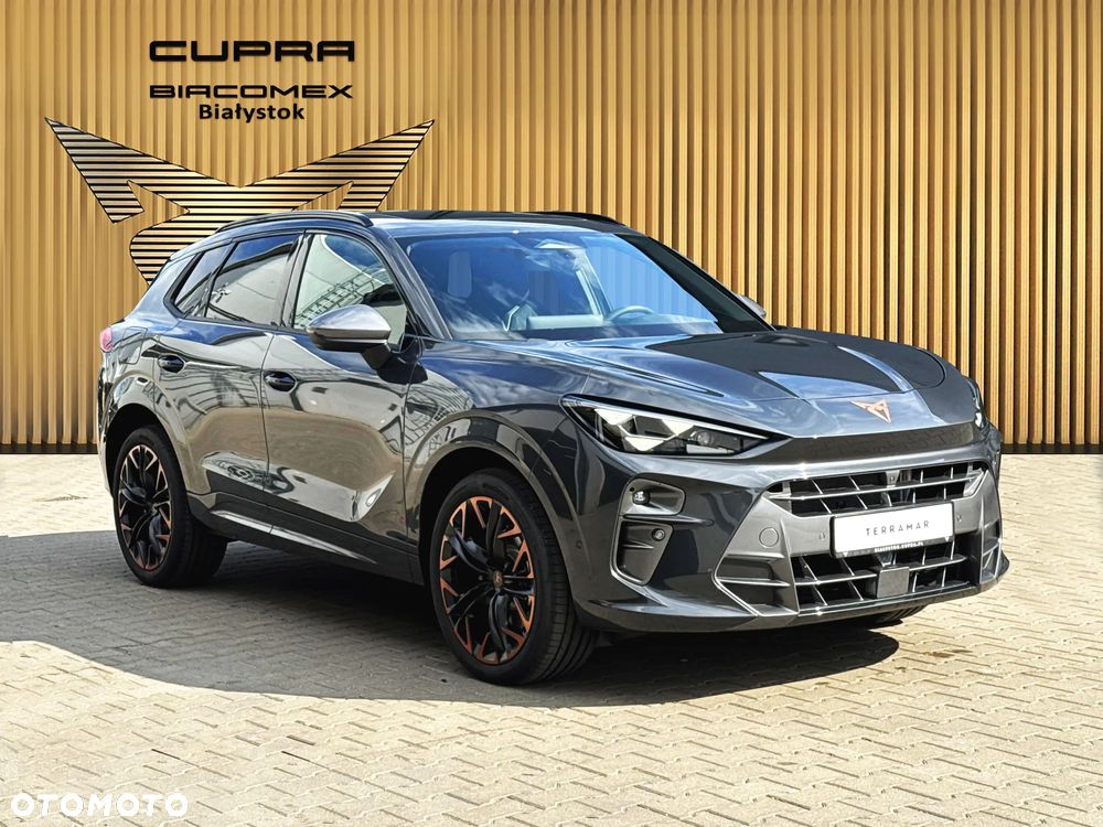 Cupra Terramar 2.0 TSI 4Drive Advantage Edition Copper DSG - 8