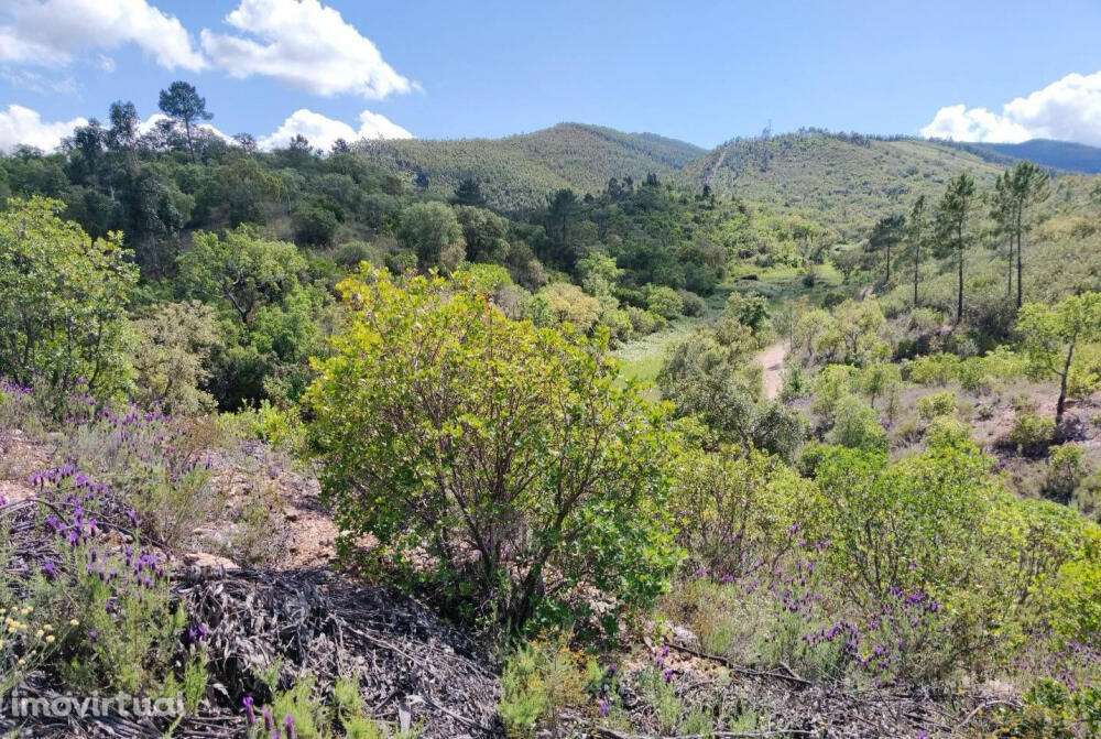 Terreno Rústico - Nave Redonda, Sabóia - Grande imagem: 2/7