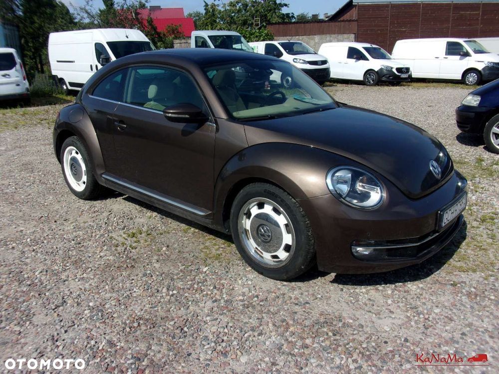 Volkswagen Beetle - 8