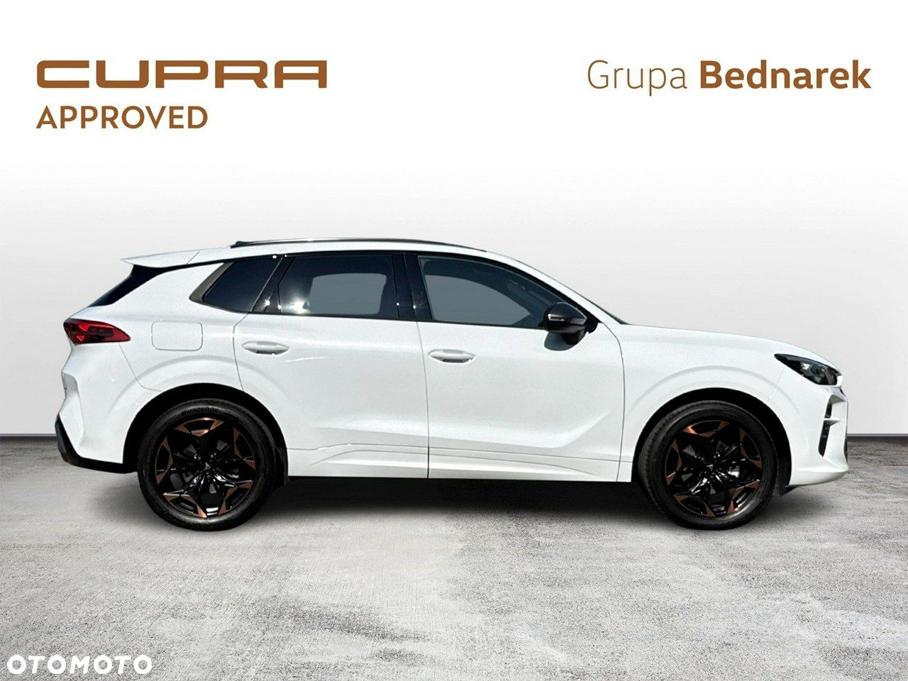 Cupra Terramar - 6