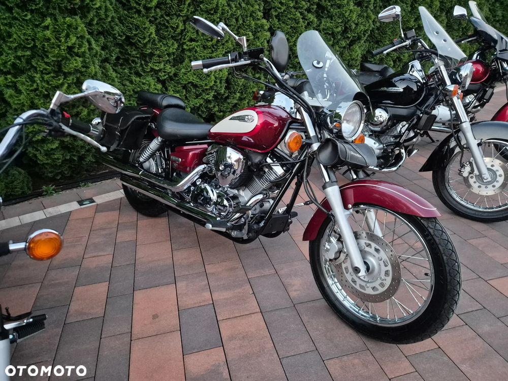 Honda Shadow - 20