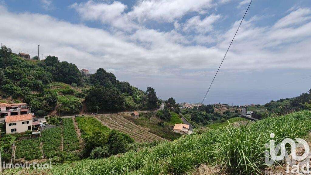 Casa / Villa T3 em Canhas de 248 m2 - Grande imagem: 2/28