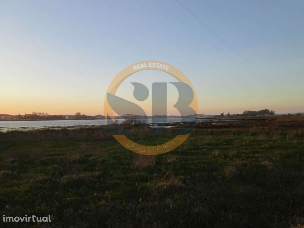 Terreno Venda Ovar - Grande imagem: 4/4