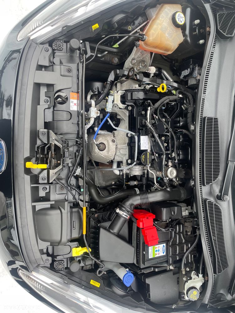 Ford Fiesta 1.25 Trend - 21