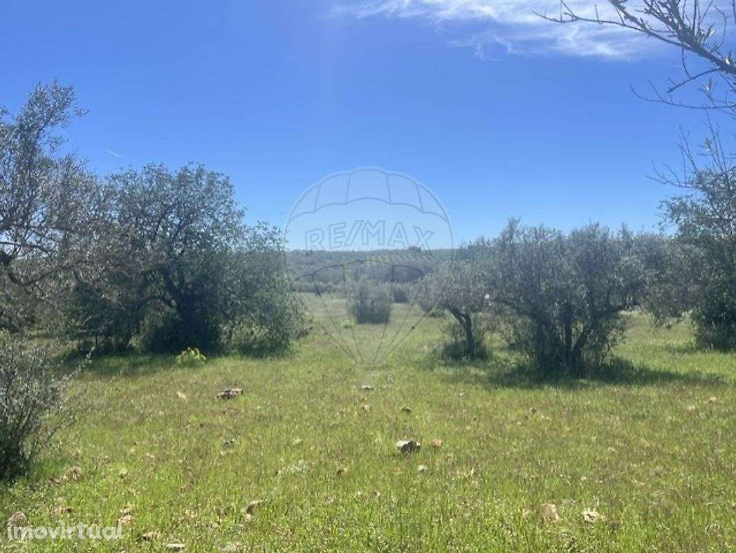 Terreno  para venda - Grande imagem: 4/10