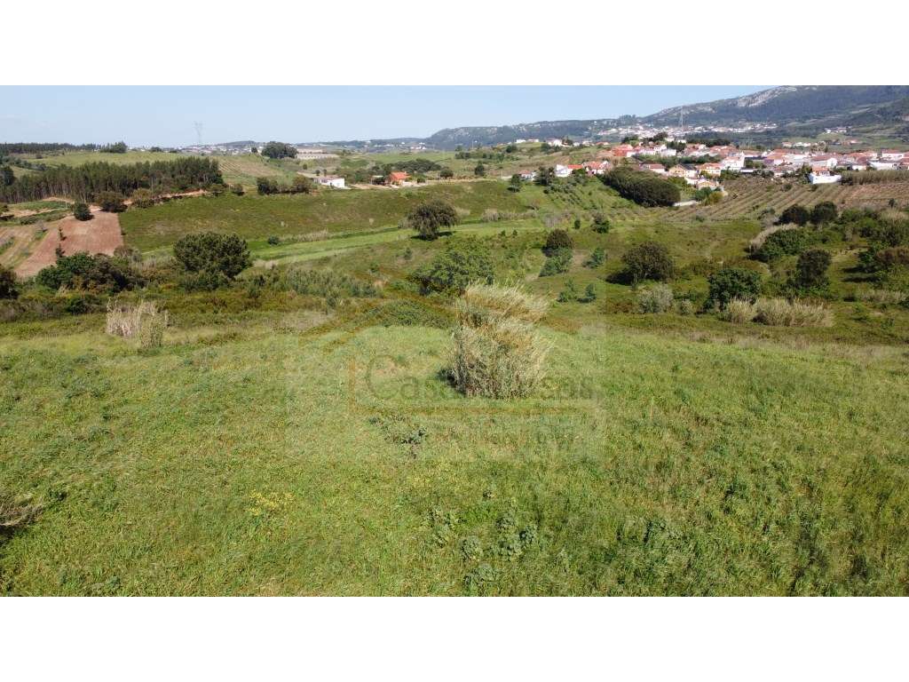 Conjunto de Terrenos Rustico - Grande imagem: 3/17
