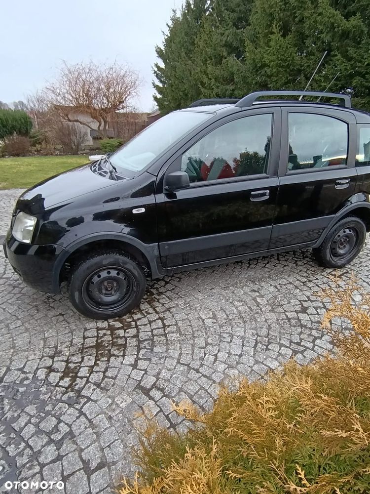 Fiat Panda 1.3 4x4 Multijet - 1