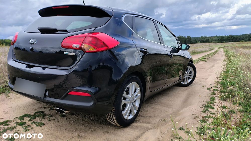 Kia Ceed 1.6 CRDi 128 Dream Team Edition - 18
