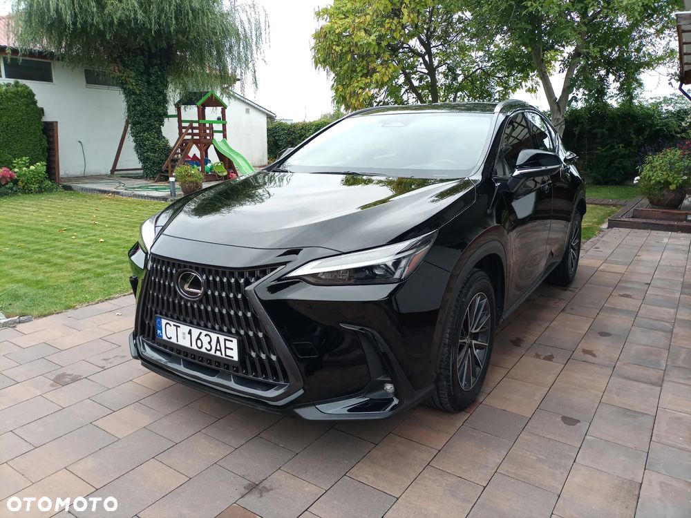 Lexus NX - 2