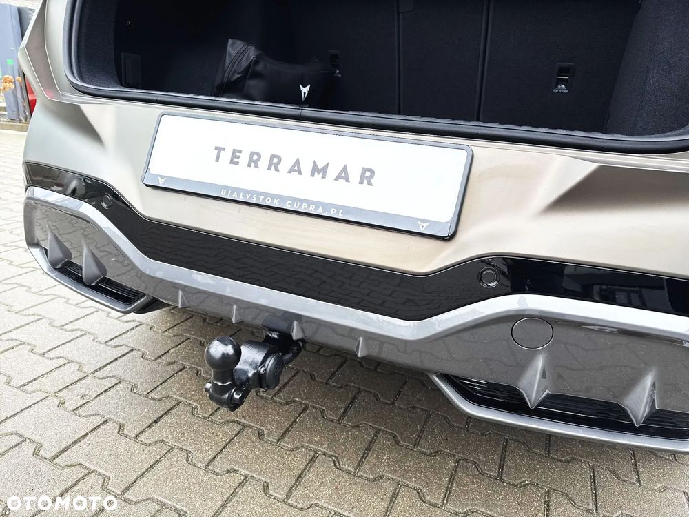 Cupra Terramar 2.0 TSI 4Drive Advantage Edition DSG - 19