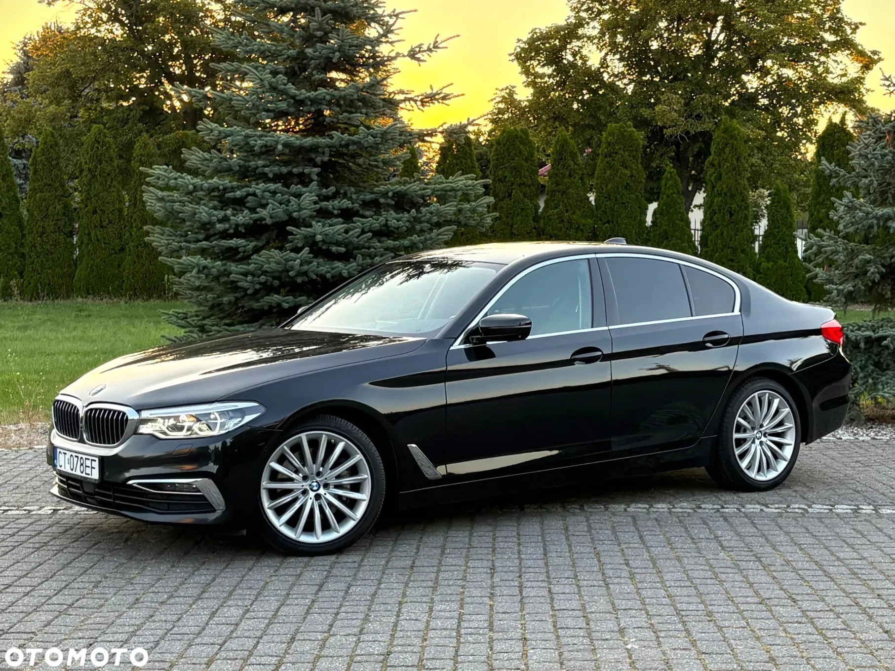 BMW Seria 5 530i xDrive Luxury Line sport - 10