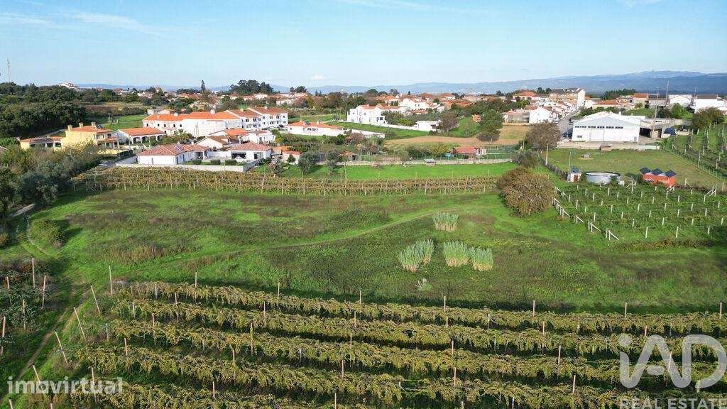 Terreno para construção em Sangalhos - Grande imagem: 4/16