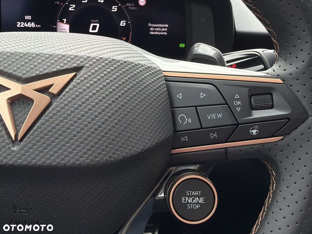 Cupra Terramar - 19
