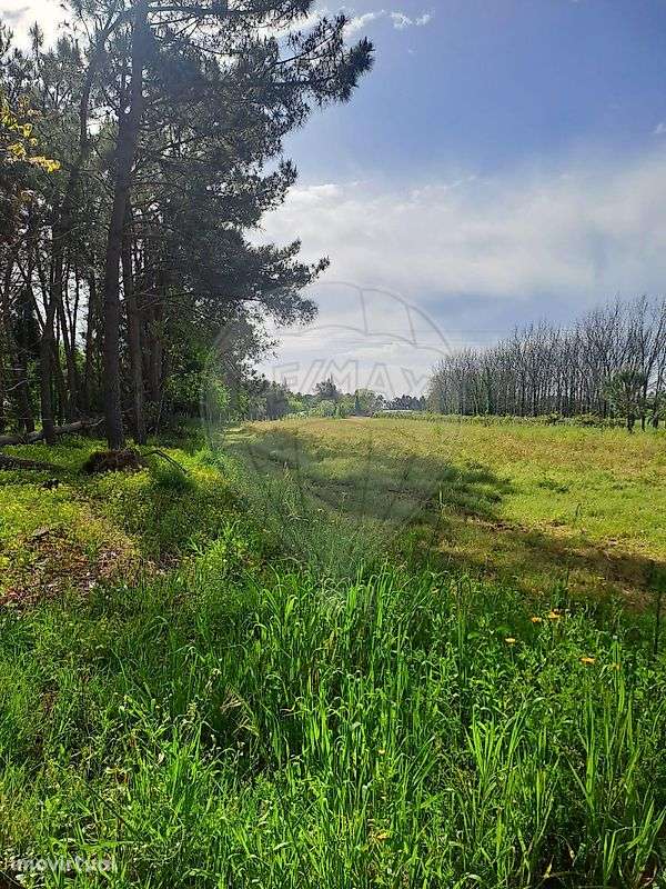 Terreno  para venda - Grande imagem: 5/5