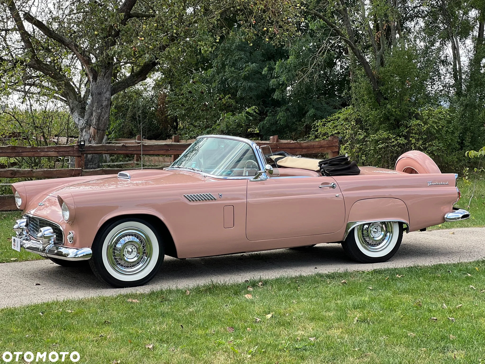 Ford Thunderbird - 6