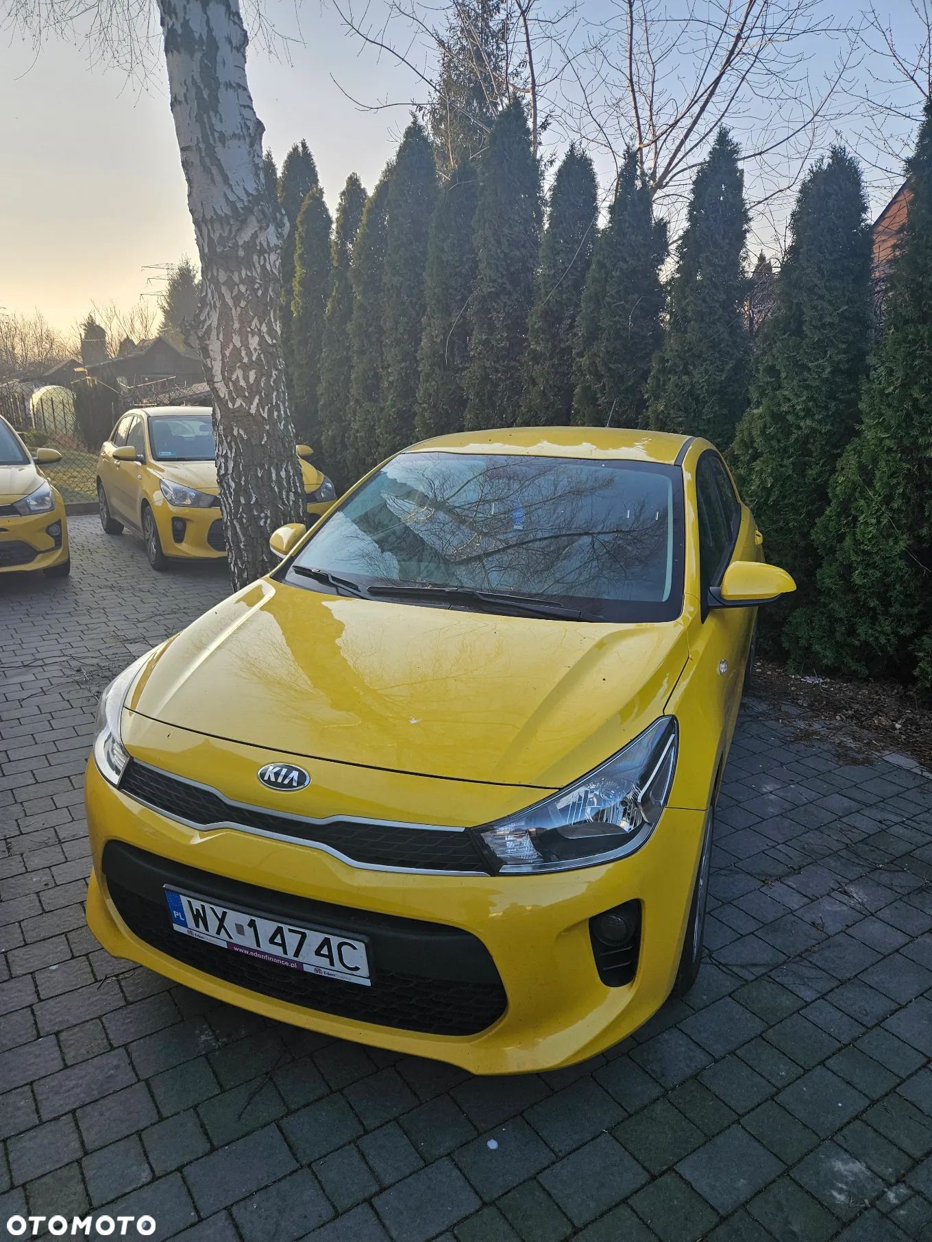 Kia Rio 1.2 M - 1