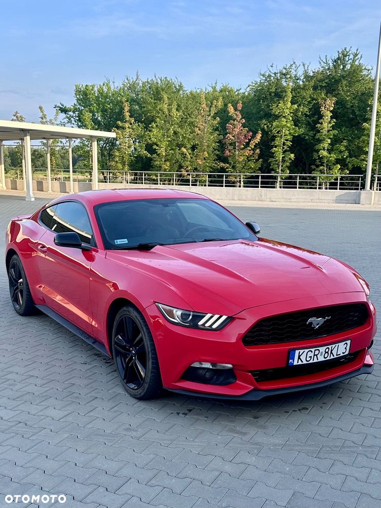 Ford Mustang 2.3 EcoBoost - 3