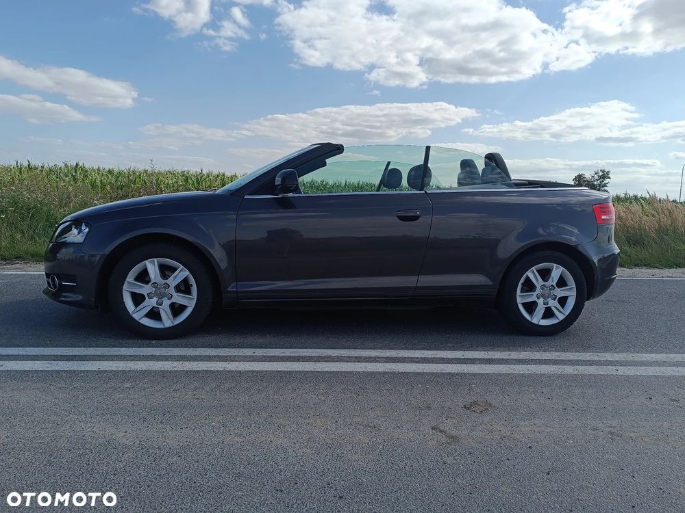 Audi A3 Cabrio 1.9 TDI DPF Ambition - 9