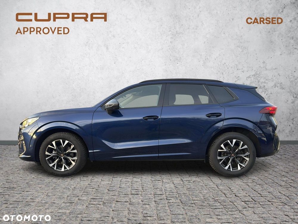 Cupra Terramar - 4