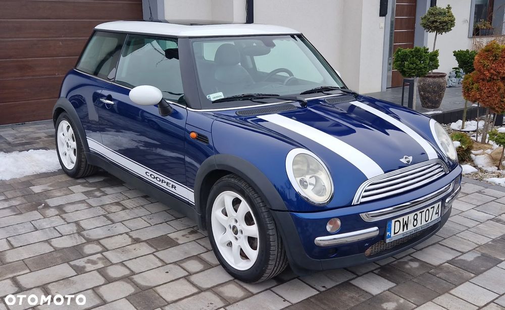 MINI Cooper chili - 1