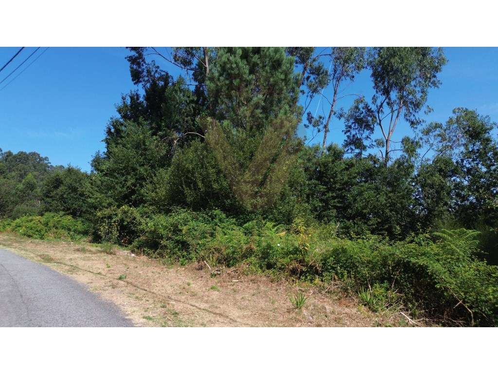 Terreno 4 086 m² - Rebordões Santa Maria - Ponte de Lima - Grande imagem: 3/9