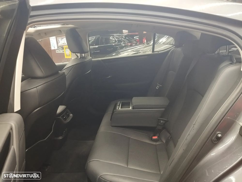 Lexus ES 300h F Sport - 14