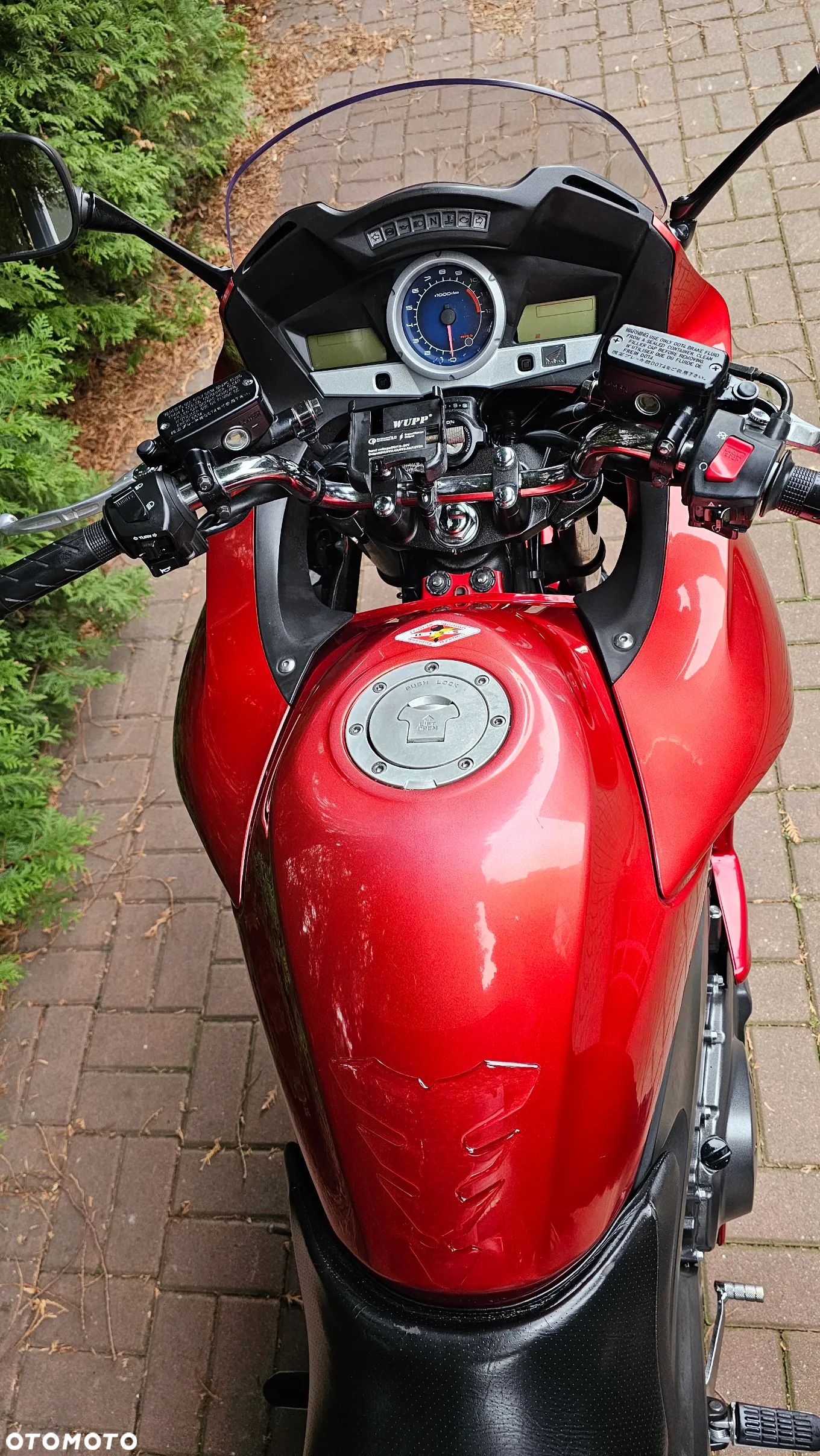 Honda CBF - 18