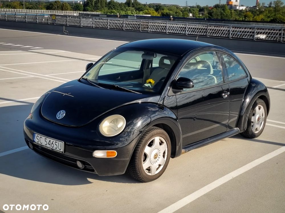 Volkswagen Beetle - 17