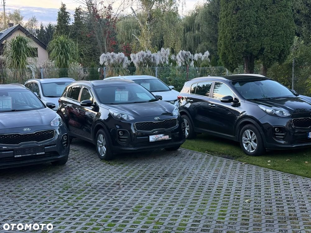 Kia Sportage - 27
