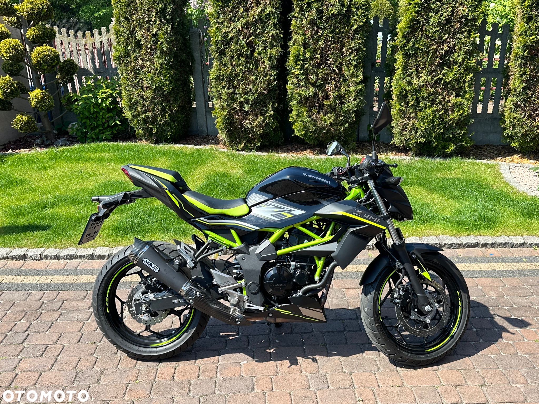 Kawasaki Z - 6