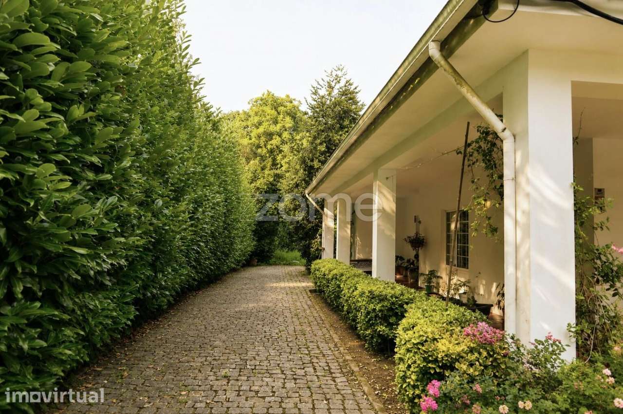 Quinta de S. Gonçalo - S. Paio de Vizela - Grande imagem: 4/36