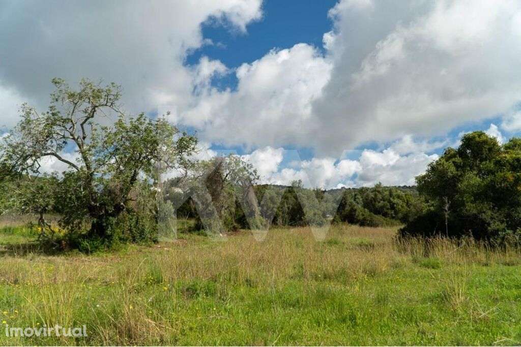 Terreno agrícola com saneamento básico a passar na confrontação com es - Grande imagem: 2/50