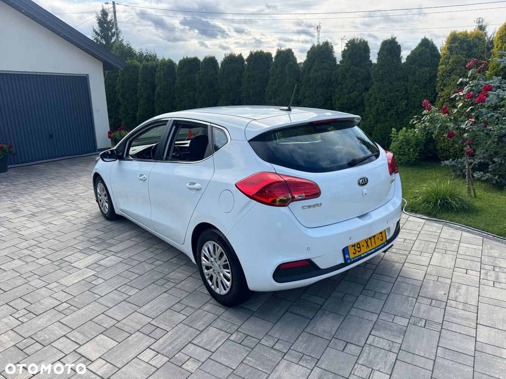 Kia Ceed 1.6 GDI Platinum Edition - 19