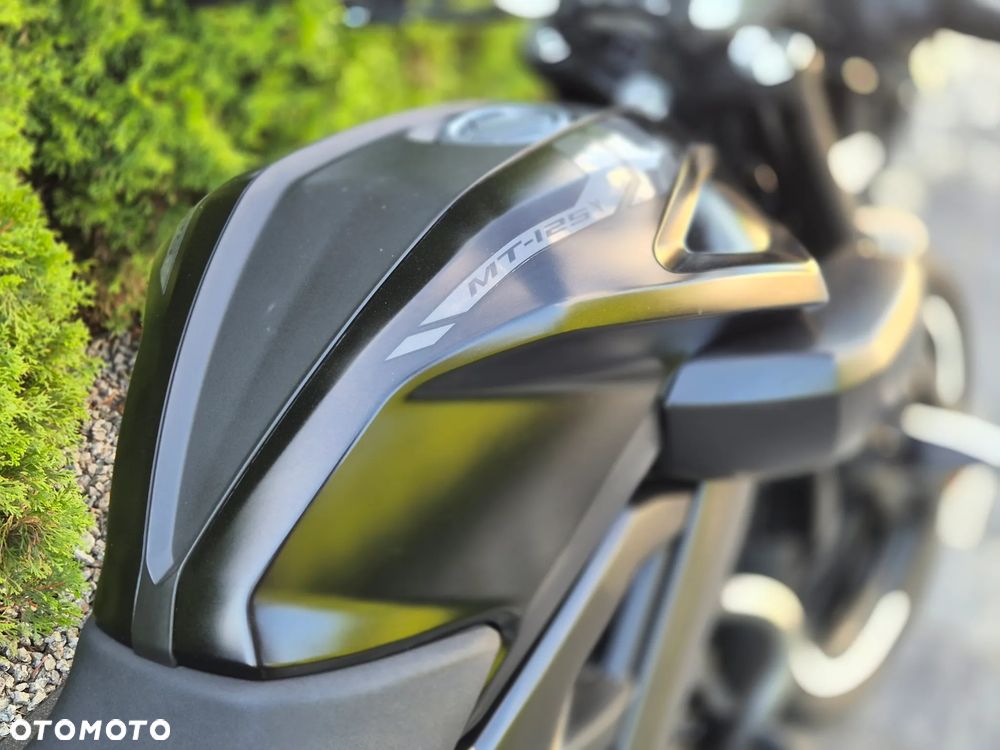 Yamaha MT - 13
